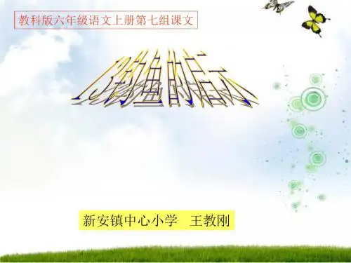 《13钓鱼的启示》PPT课件40595