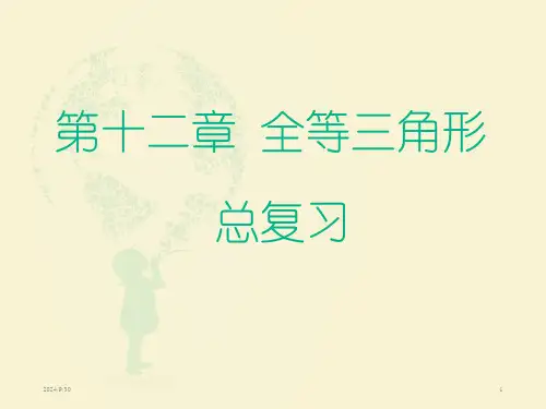 完整版-全等三角形总复习教学课件