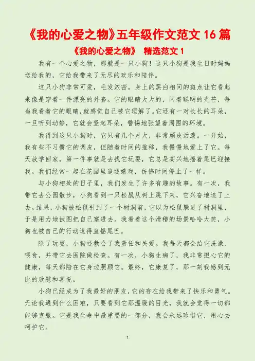 《我的心爱之物》五年级作文范文16篇