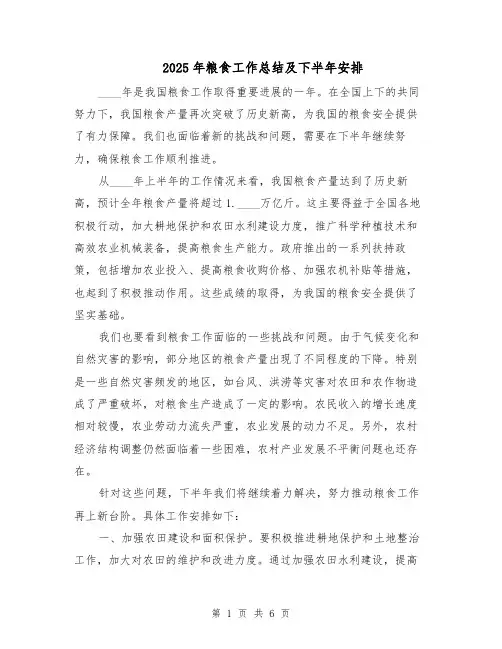 2025年粮食工作总结及下半年安排（3篇）