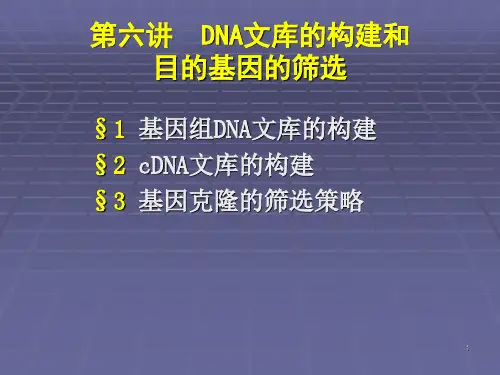 DNA文库的构建和目的基因ppt课件