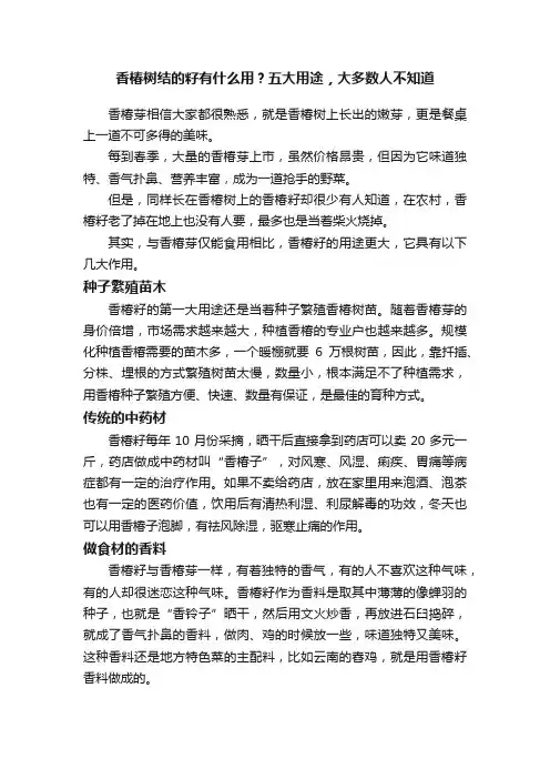 香椿树结的籽有什么用？五大用途，大多数人不知道