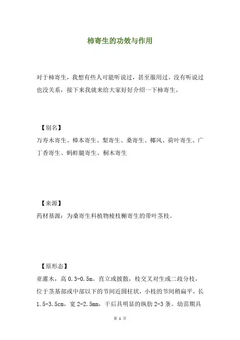 柿寄生的功效与作用