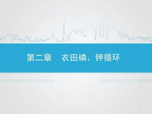 第二章磷素循环