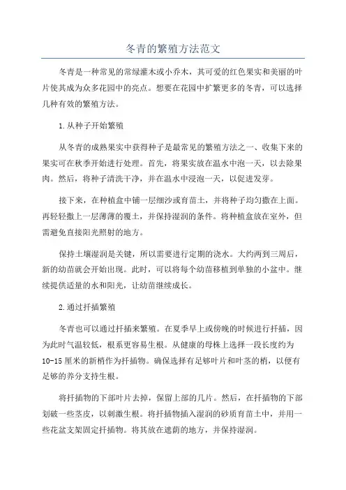 冬青的繁殖方法范文