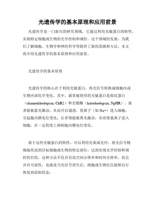 光遗传学的基本原理和应用前景