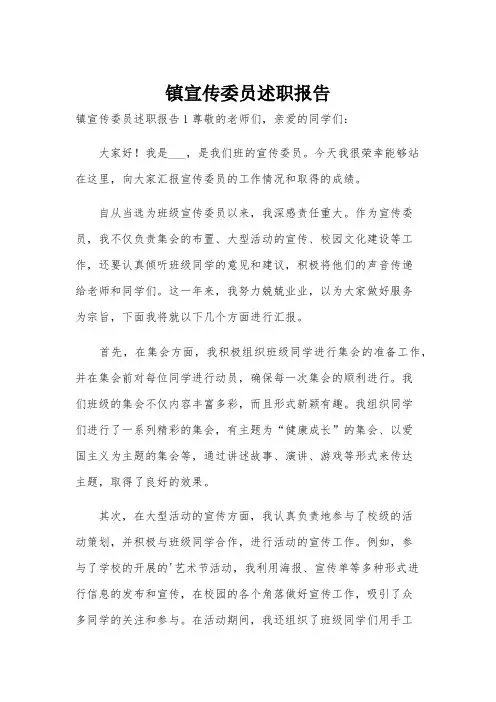 镇宣传委员述职报告