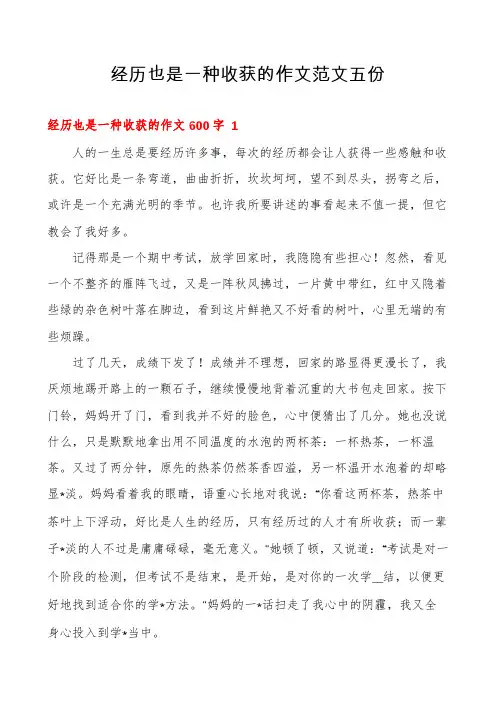经历也是一种收获的作文范文五份