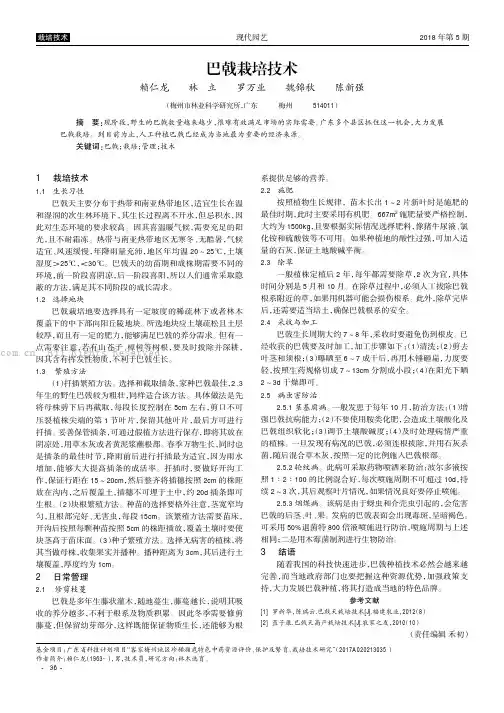 巴戟栽培技术