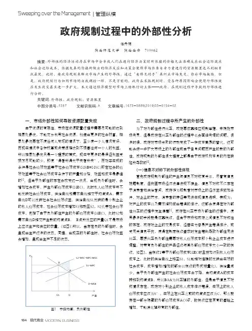 政府规制过程中的外部性分析