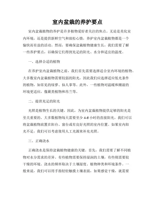 室内盆栽的养护要点