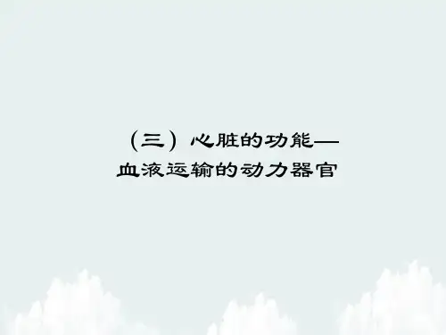 心脏的功能PPT精品课件