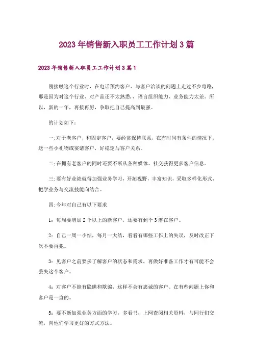 2023年销售新入职员工工作计划3篇