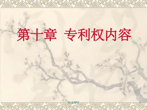 《专利权内容》PPT课件