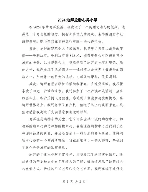 2024迪拜旅游心得小学