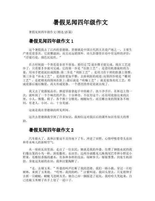 暑假见闻四年级作文