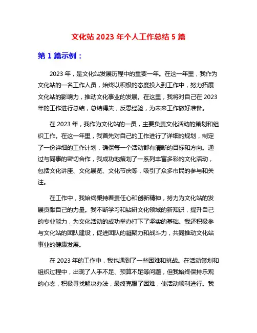 文化站2023年个人工作总结5篇