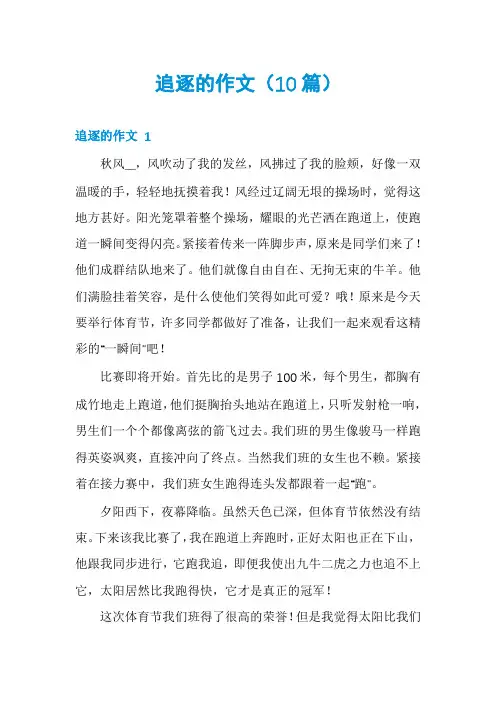 追逐的作文(10篇)