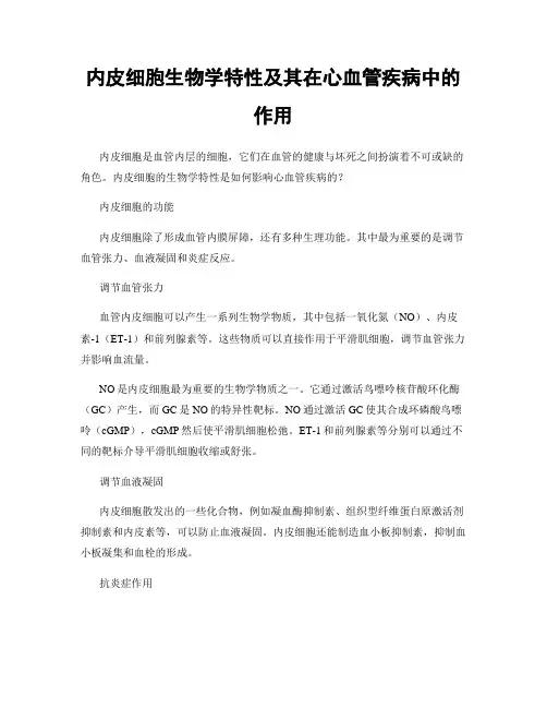 内皮细胞生物学特性及其在心血管疾病中的作用