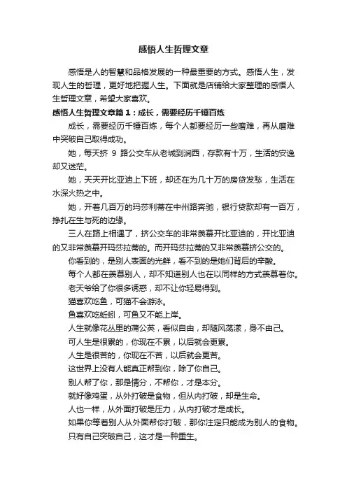 感悟人生哲理文章