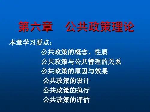 公共政策理论.ppt