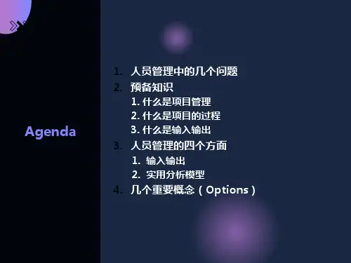 项目人力资源管理