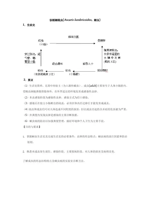 医学寄生虫要点解析
