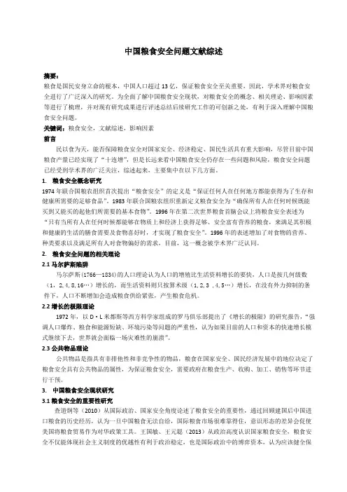 中国粮食安全问题文献综述