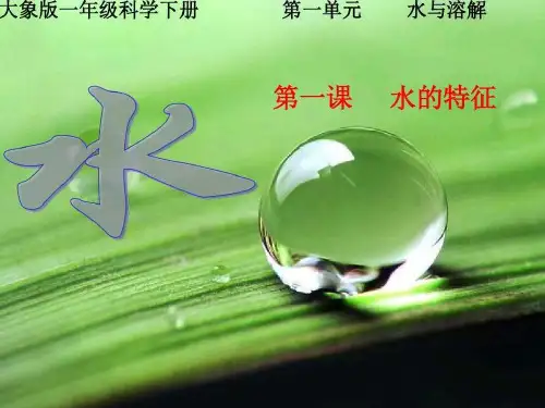 大象版一年级下册科学课件-1.1.水的特征