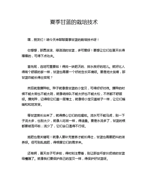 夏季甘蓝的栽培技术