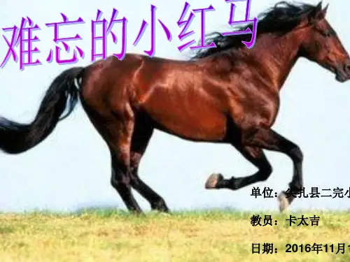 难忘的小红马
