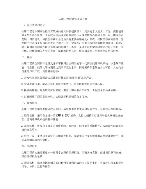 头雁工程的具体实施方案