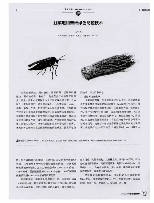 韭菜迟眼蕈蚊绿色防控技术