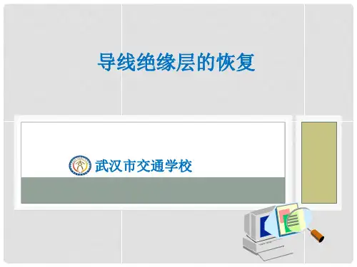 电工技能实训6导线绝缘层的恢复