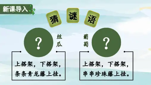 (教学课件)10.《爬山虎的脚》四年级上册语文人教版