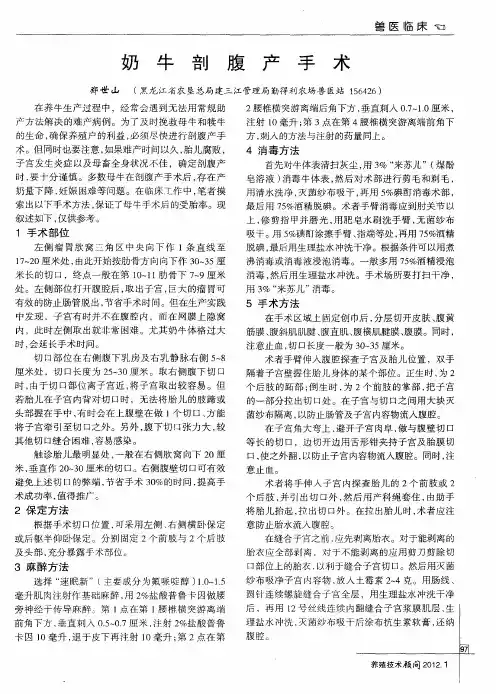 奶牛剖腹产手术