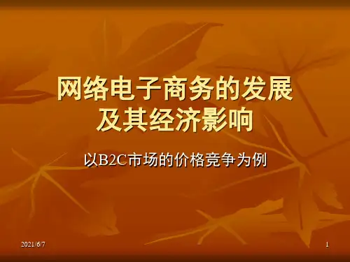 网络经济发展及其经济影响PPT课件