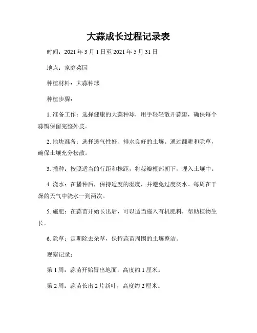 大蒜成长过程记录表