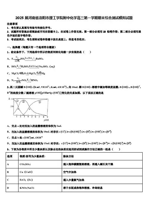 2025届河南省洛阳市理工学院附中化学高三第一学期期末综合测试模拟试题含解析