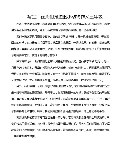 写生活在我们身边的小动物作文三年级