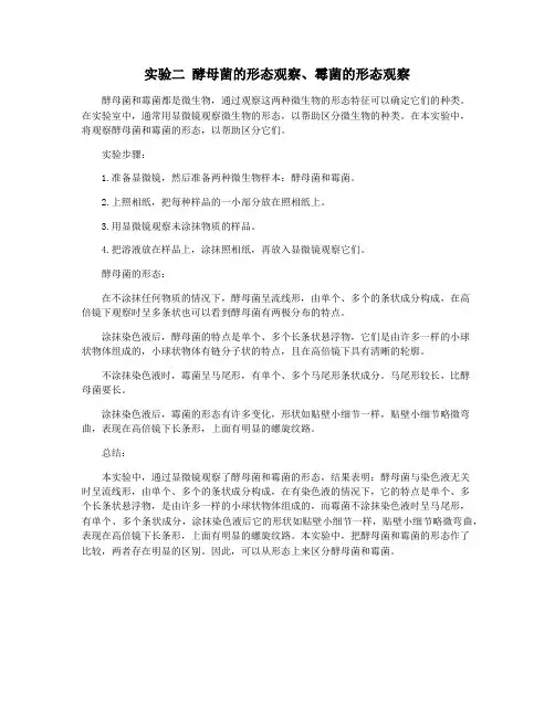 实验二 酵母菌的形态观察、霉菌的形态观察