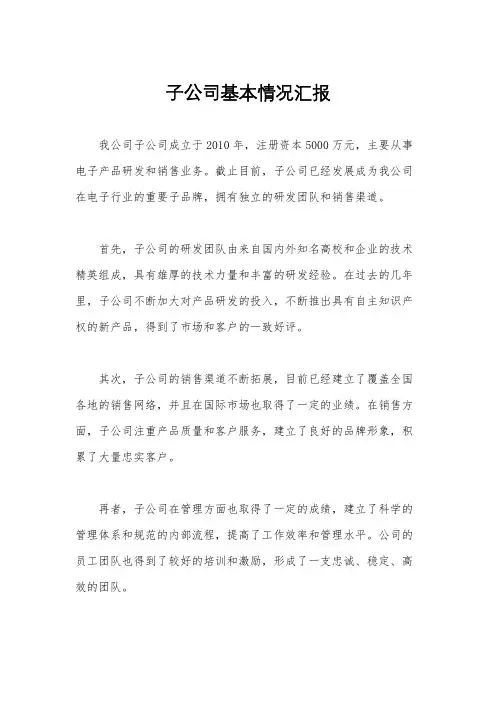 子公司基本情况汇报