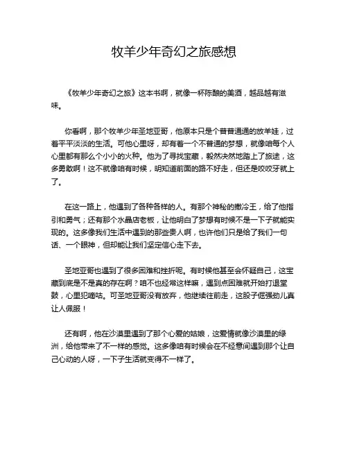 牧羊少年奇幻之旅感想