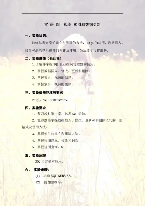 实 验 四 视图索引和数据更新