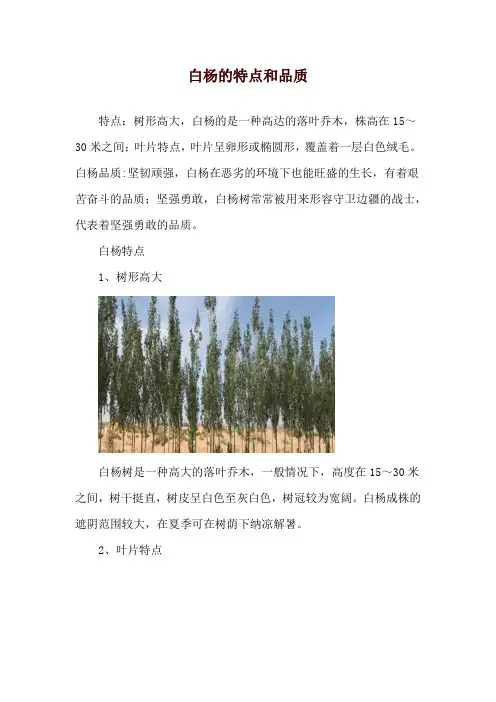 白杨的特点和品质