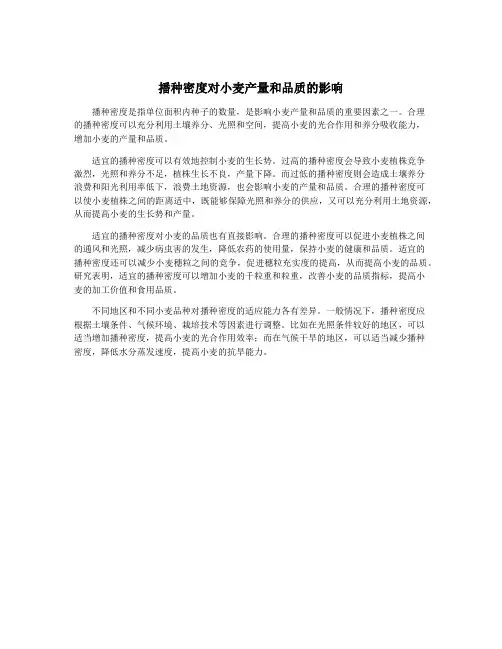 播种密度对小麦产量和品质的影响