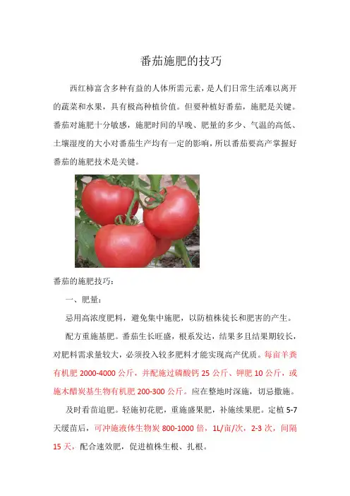 西红柿施肥技巧