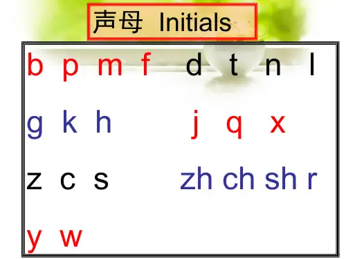 对外汉语汉语拼音和第一课你好(课堂PPT)