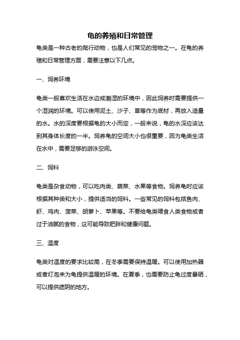 龟的养殖和日常管理