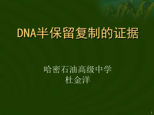 DNA半保留复制的证据解读